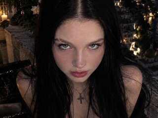 VelvetPaw1 Profile Picture