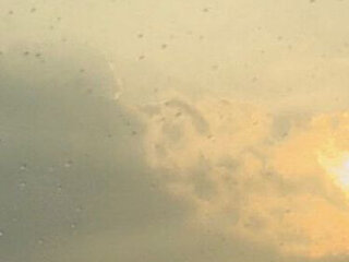 xxcccs Profile Picture