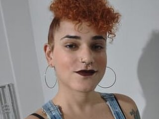Domme De Paus Profile Picture