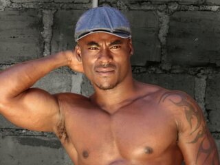 StevenAlba Profile Picture